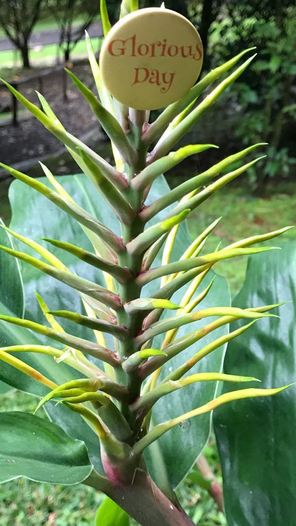 17CF16BD-F555-4465-AC8F-04B9AD215848