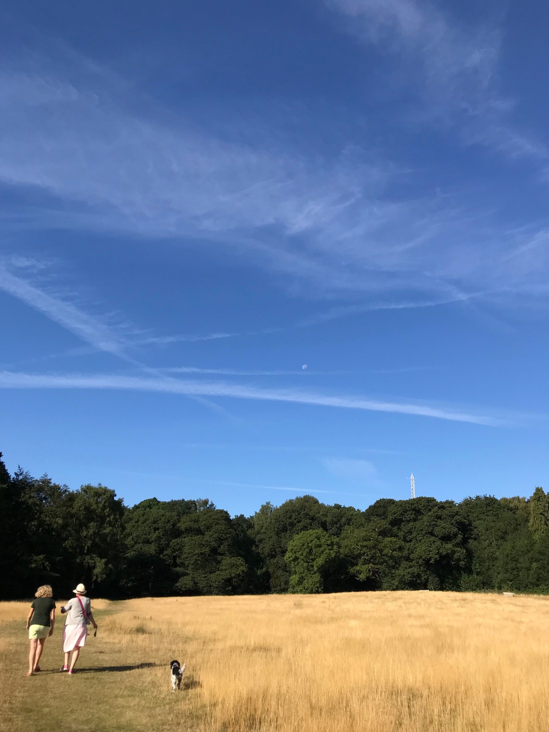 C56F0054-4816-4356-AEBF-A3EBDD04E069