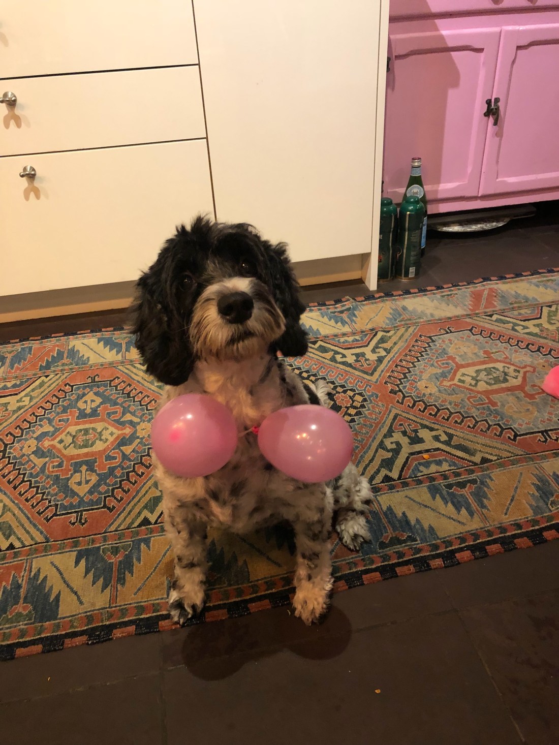 41FF1ECC-332E-4452-9A2C-929EAFBB6451