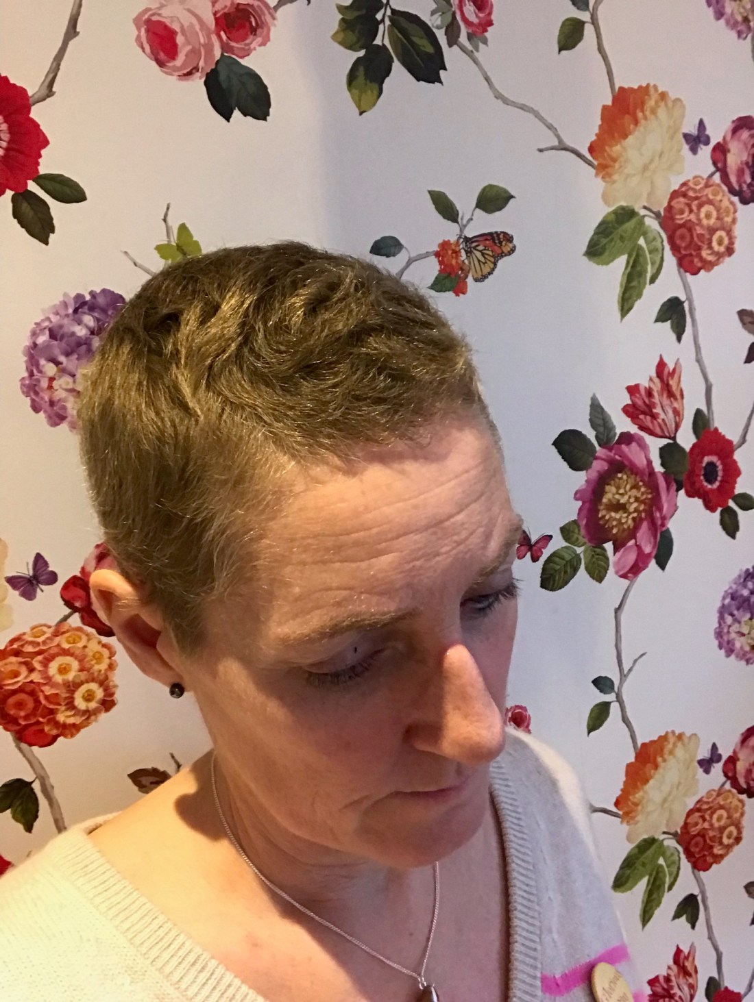 8726EB7E-4341-4768-88A5-887B91880E08